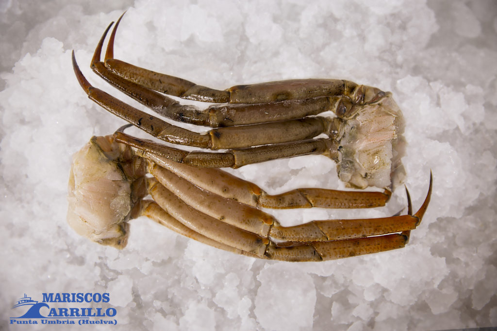 Mariscos de Huelva a domicilio