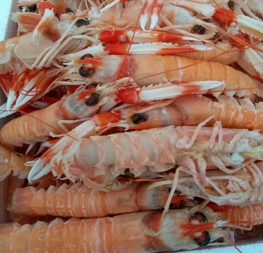 Mariscos de Huelva a domicilio