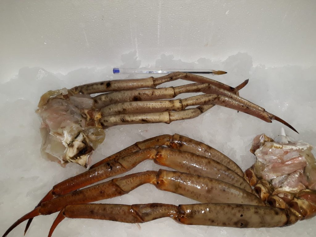 Mariscos de Huelva a domicilio