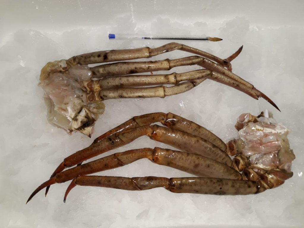 Mariscos de Huelva a domicilio