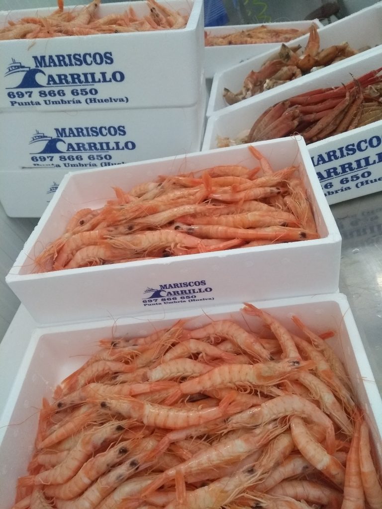 Mariscos de Huelva a domicilio