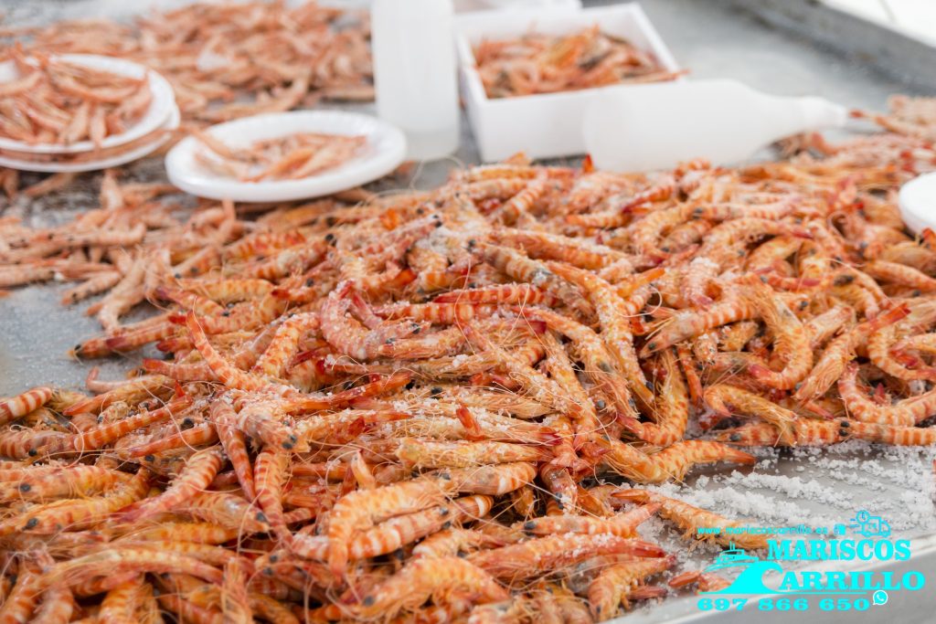 Mariscos de Huelva a domicilio