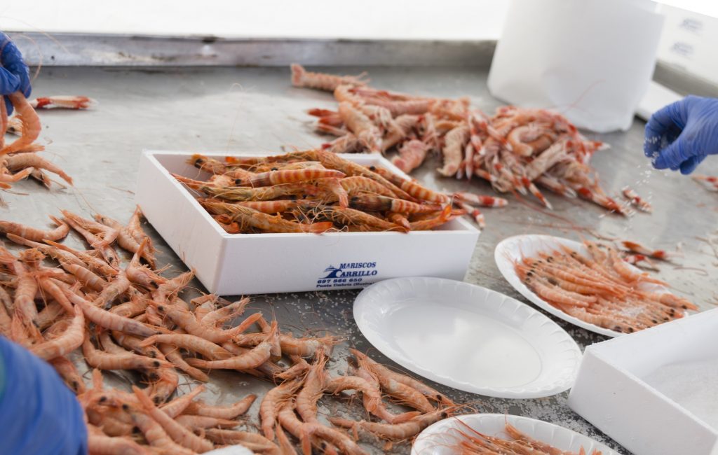 Mariscos de Huelva a domicilio