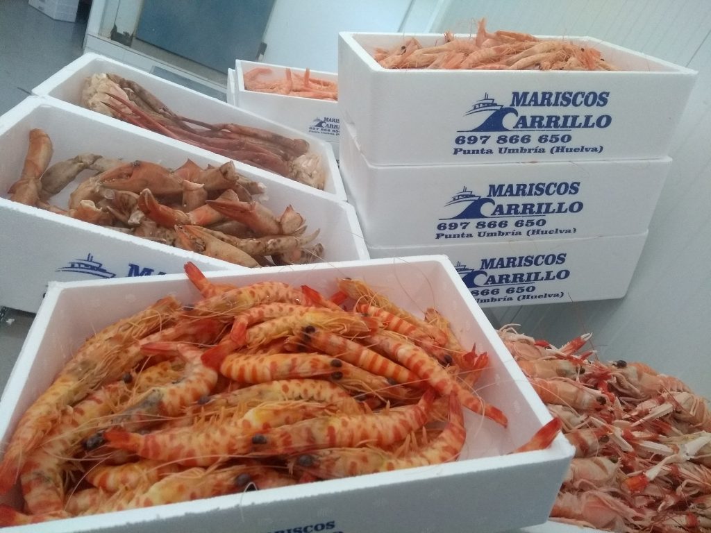 Mariscos de Huelva a domicilio