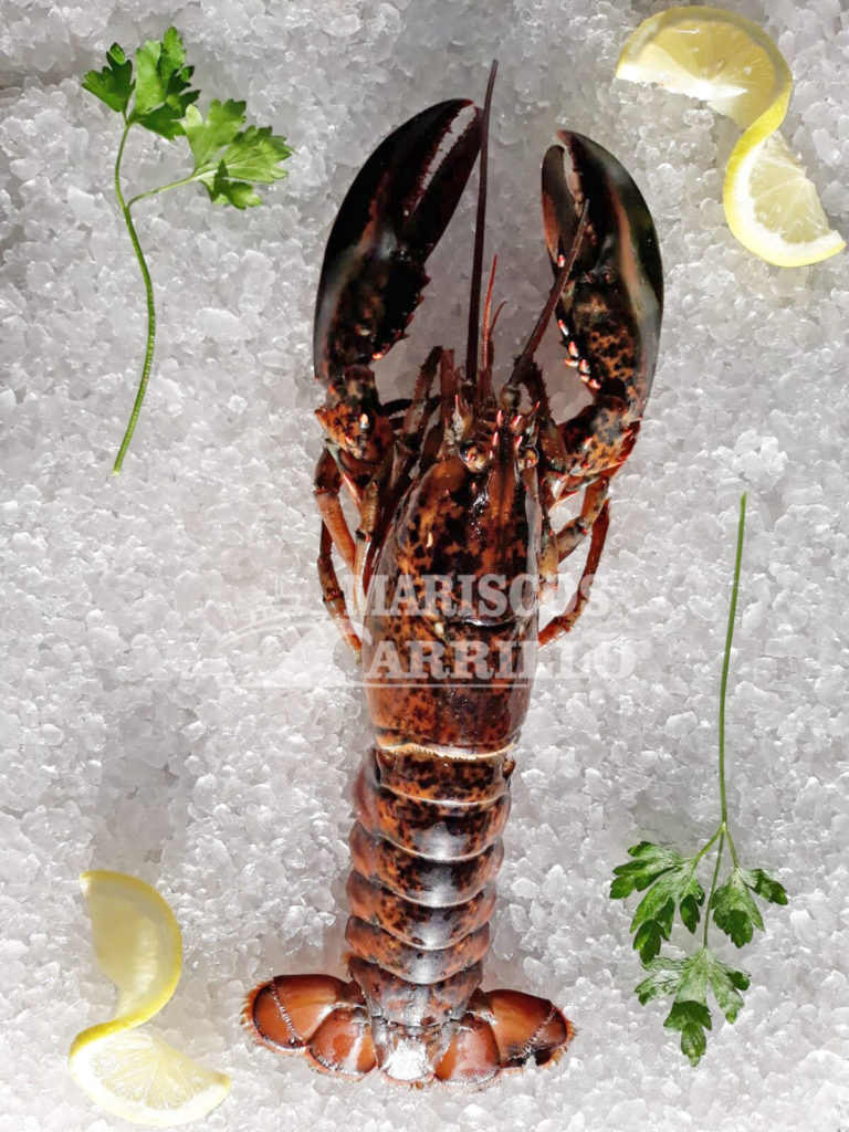 Mariscos de Huelva a domicilio