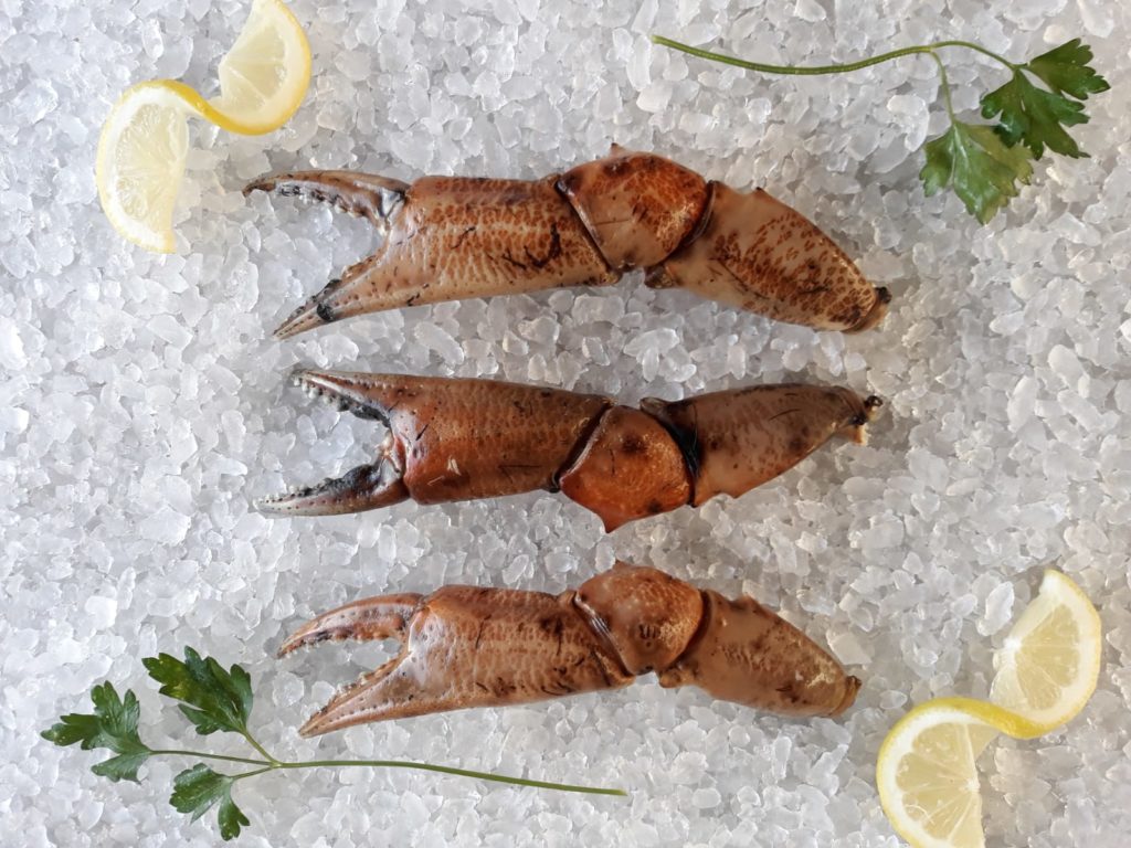 Mariscos de Huelva a domicilio