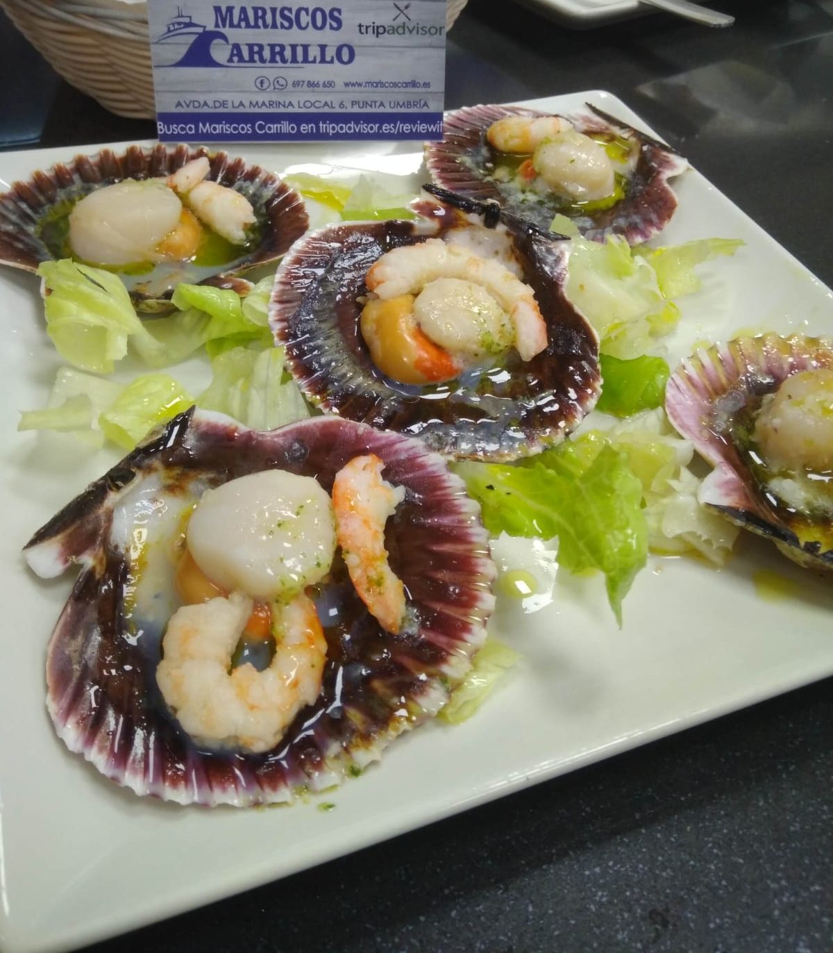 Zamburiñas 500Gr (10-20 und Aprox) – Mariscos de Huelva a domicilio