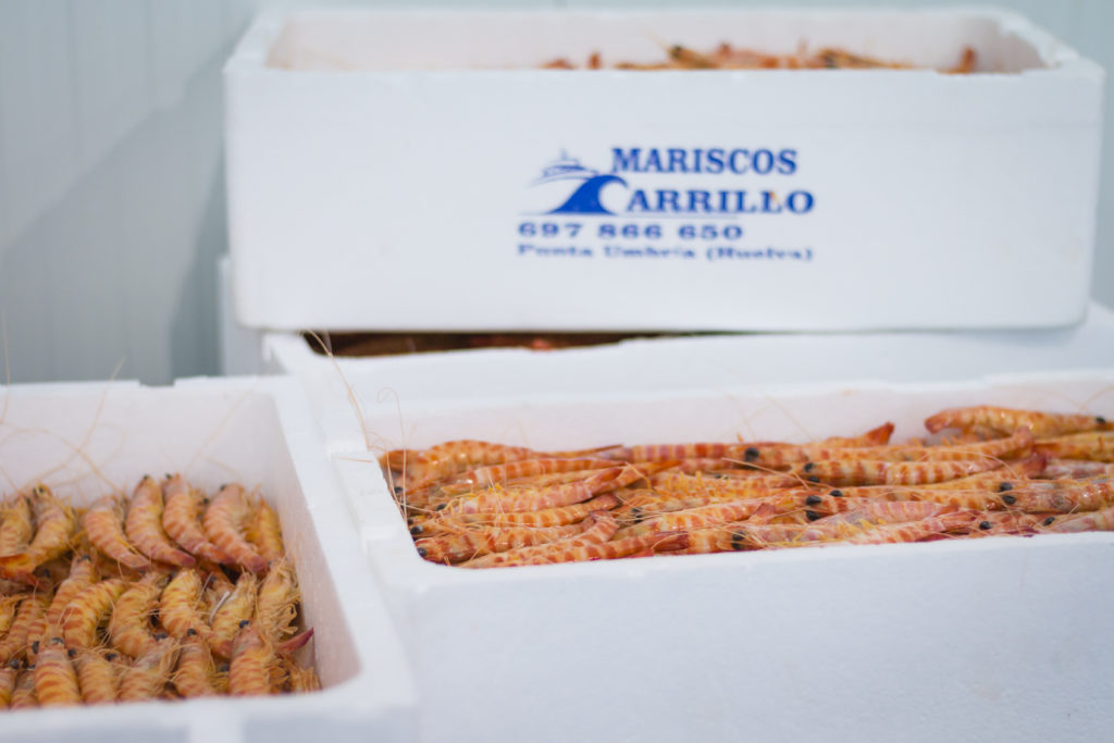 Mariscos de Huelva a domicilio