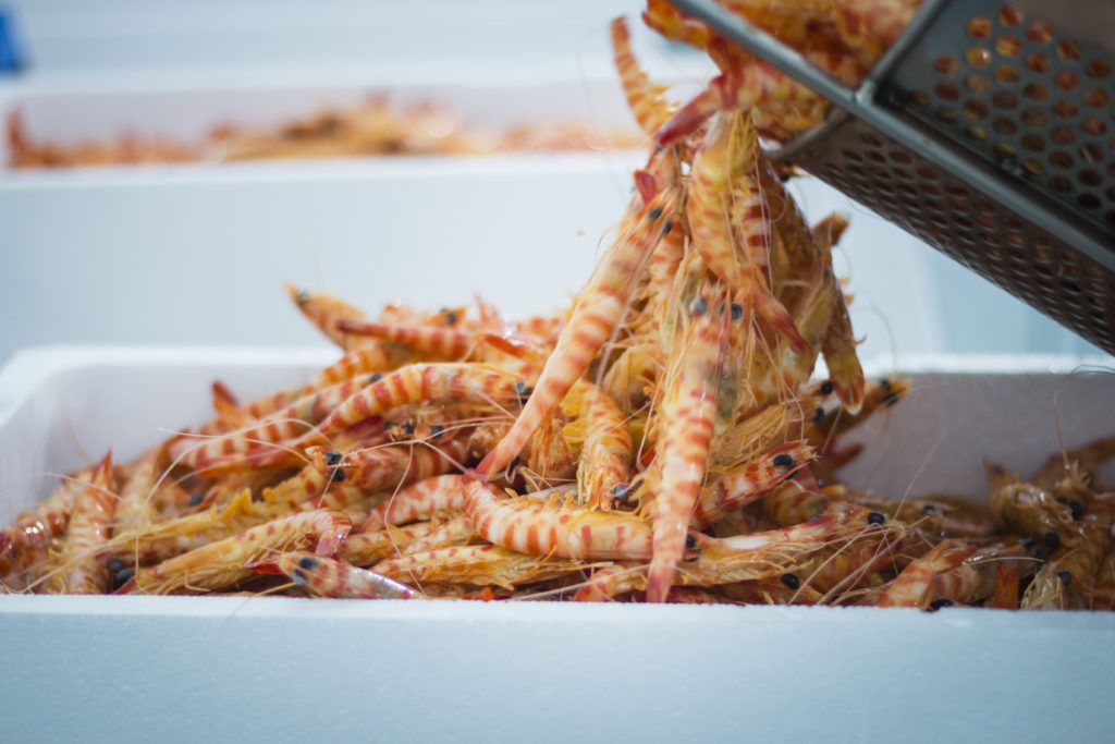 Mariscos de Huelva a domicilio