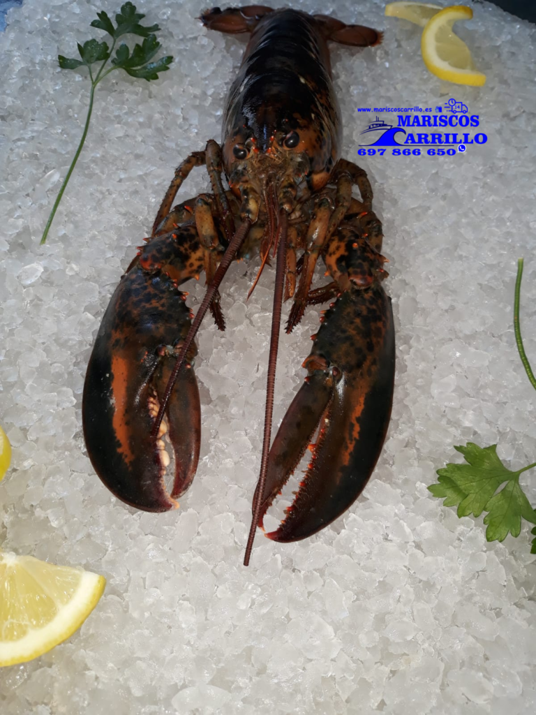 Mariscos de Huelva a domicilio