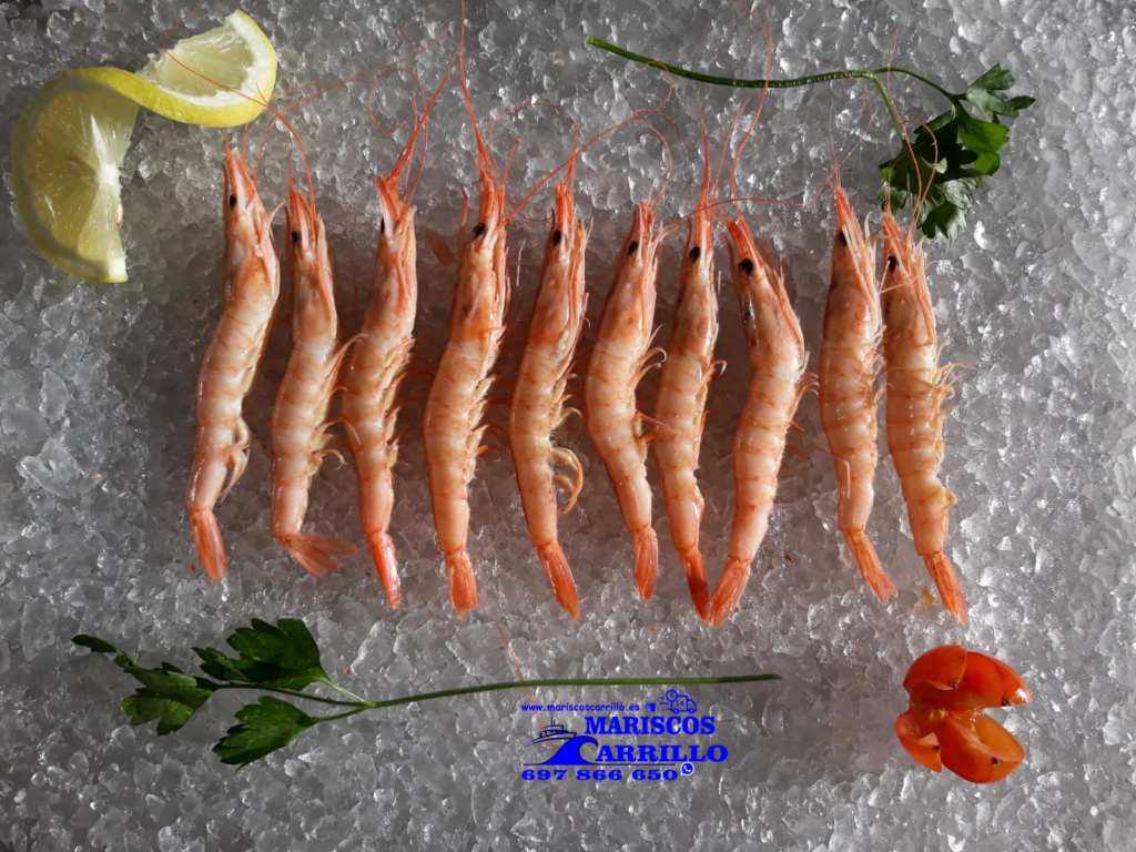 Mariscos de Huelva a domicilio