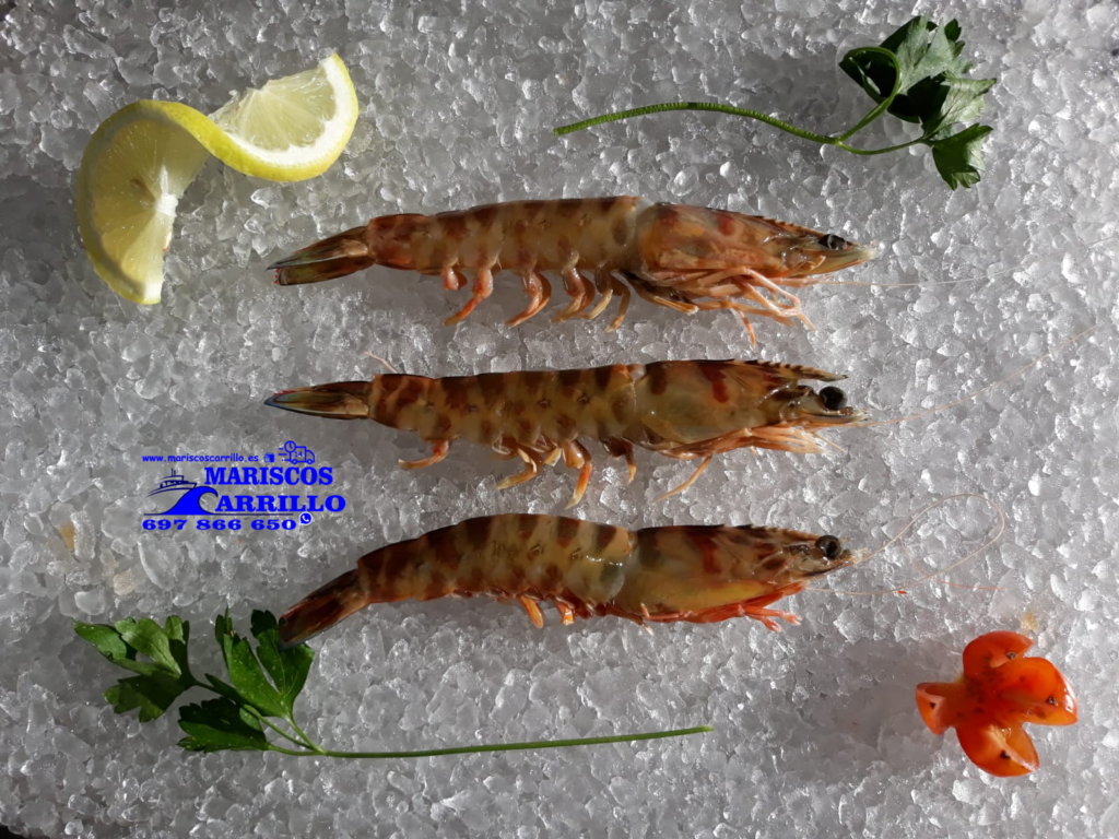 Mariscos de Huelva a domicilio