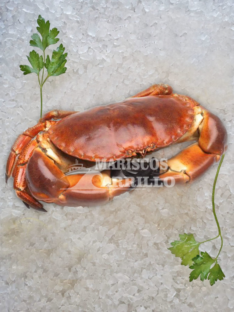 Mariscos de Huelva a domicilio