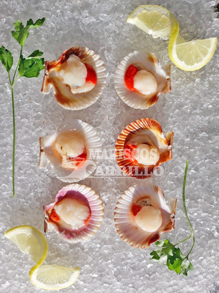 Mariscos de Huelva a domicilio