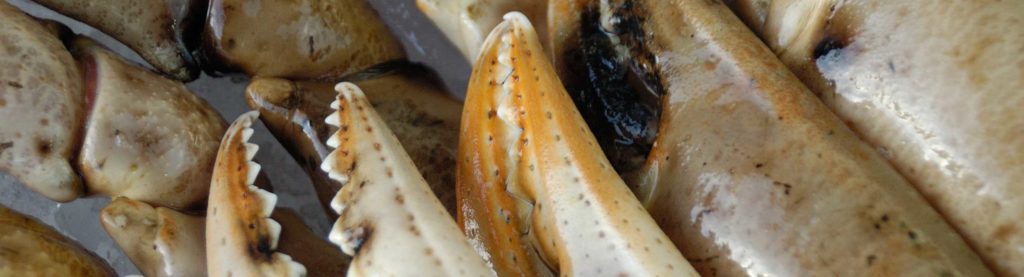 Mariscos de Huelva a domicilio