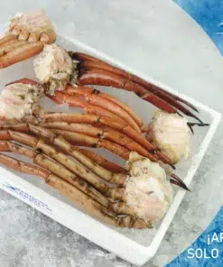 MANUEL ALBALA G5 COCIDA 6 PUERTO SANTA MARIA atas de cangrejo