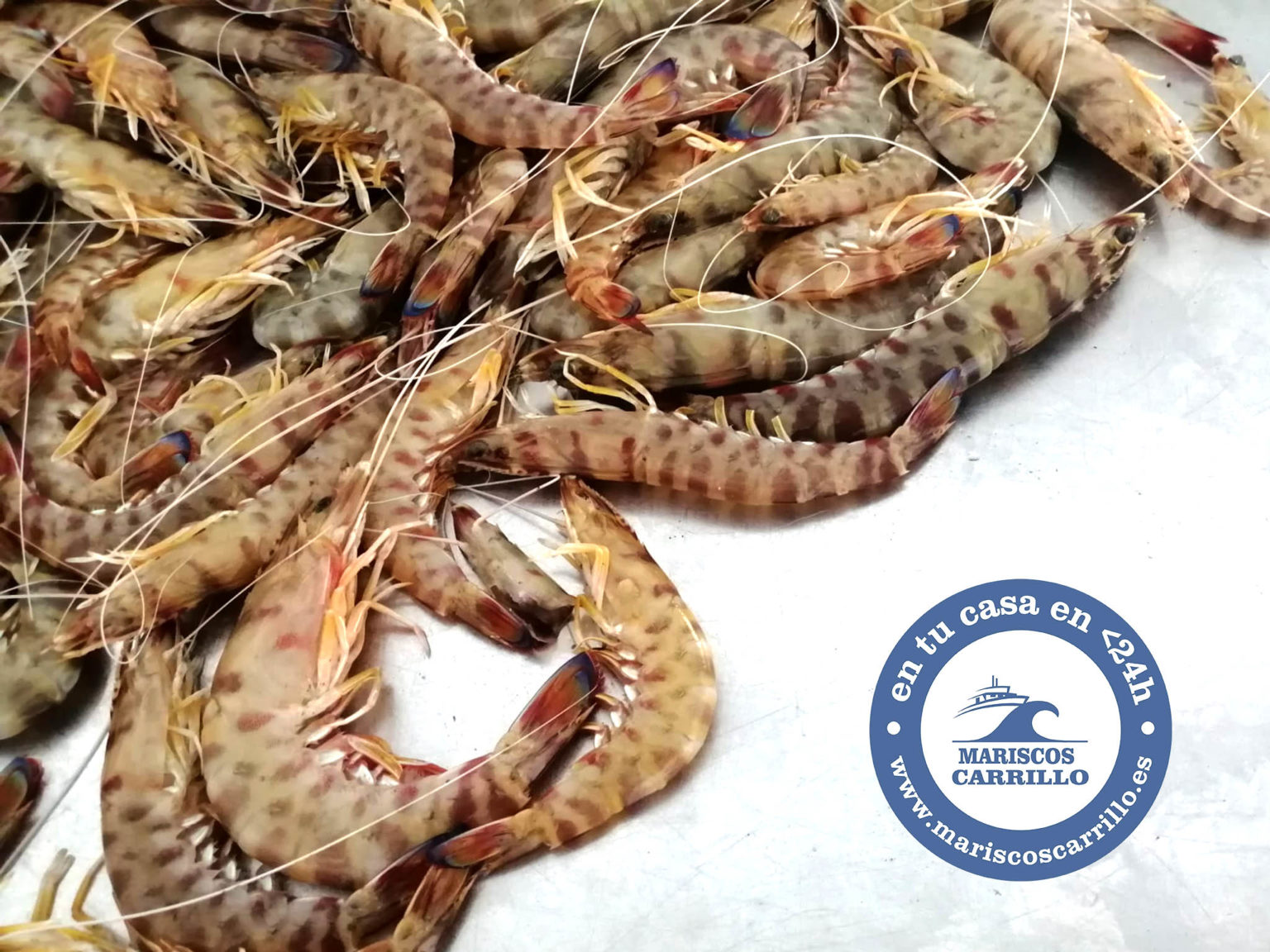 El Mejor Marisco de Huelva a