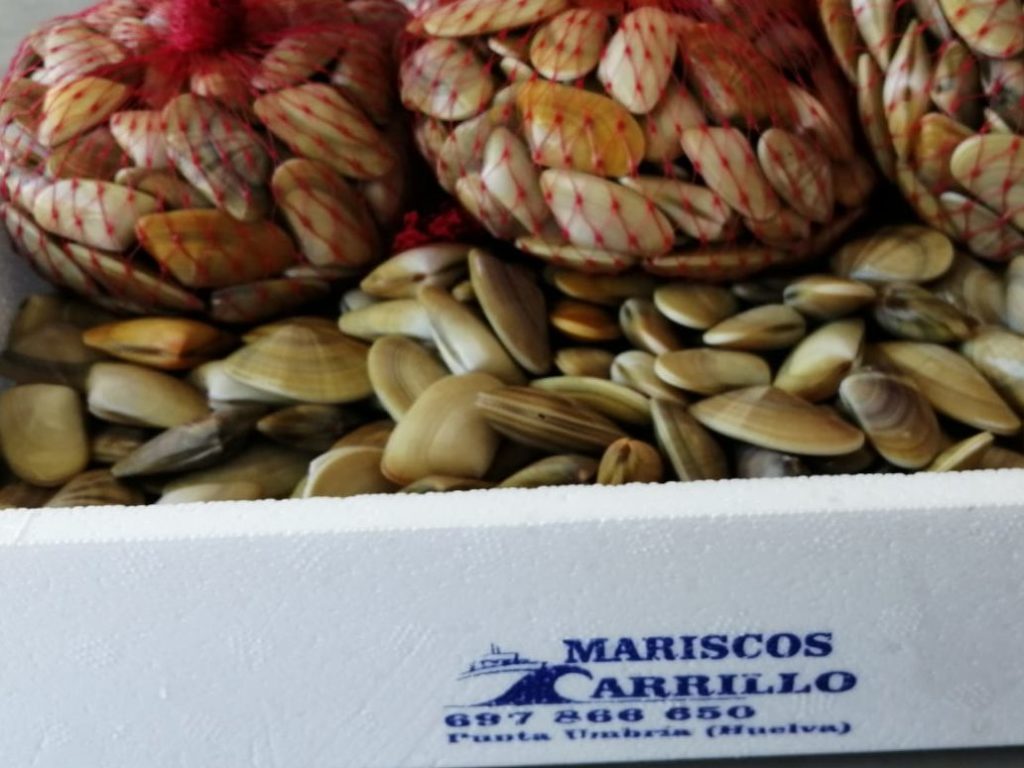 Mariscos de Huelva a domicilio