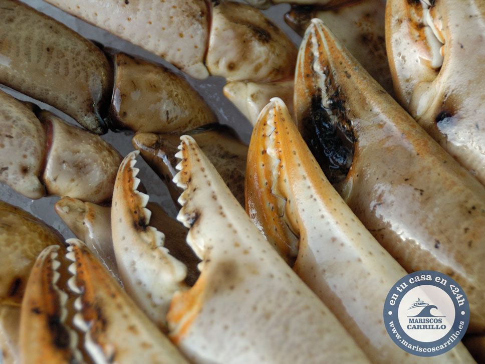 Como cocer patas de cangrejo y bocas de cangrejo; la mejor receta. –  Mariscos de Huelva a domicilio