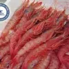 gamba roja de huelva mediana