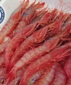gamba roja de huelva mediana